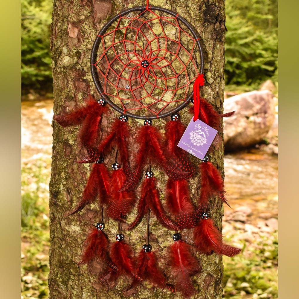 Red Feather and Leather Modern Made Dreamcatcher